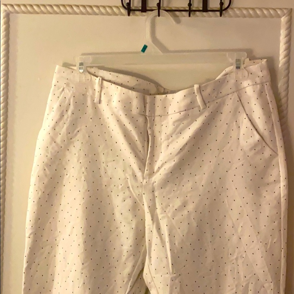 Size 16 dress pants